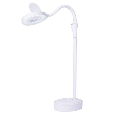 China Nail Art/Beauty Tattoo Lamp Beauty Salon Nail Make Up 8x Dental Soft Adjustable Vertical Tattoo Embroidery Floor Cold Light LED Magnifying Lamp for sale