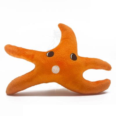 China Starfish Teeth Stuffed Toys Custom Sustainable Cute Soft Plush Products Toys Dog Cat Puppy Chewing Toys for sale