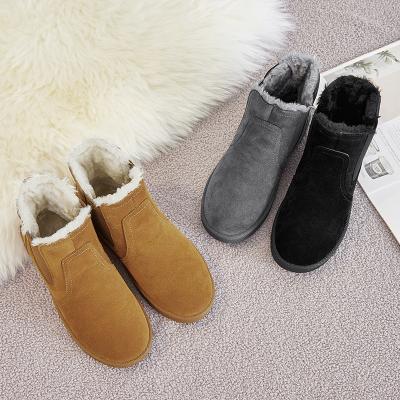 China Other Winter High Top Wool Outdoor Warmth 35-40 Size Snow Boots Tend Women's Footwear Cotton Shoes for sale