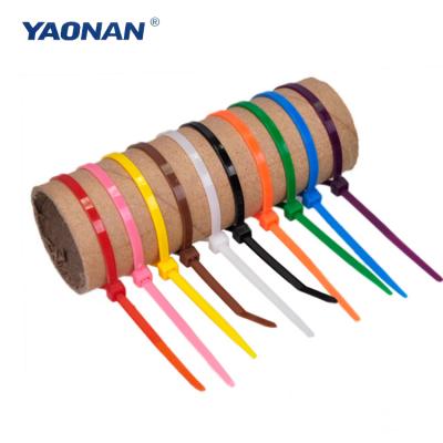 China Secures Cables Self Locking Plastic Ties All Kinds Of Colorful Nylon Cable Ties for sale