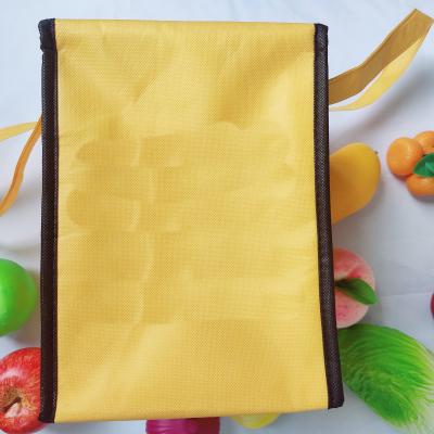 China Durable Custom IC Insulated Cool Bag10 Thermal Bag Food Delivery Picnic Camping Can Cool Lunch Bag for sale