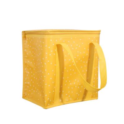 China Custom Thermal Thermos Insulated Cooler Lunch Thermo Bags For Food Delivery for sale