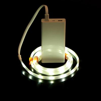 China Garden/Camping/Sports LED Rope Light For Camping With 24 Keys Controller Portable Lantern Rop LED Lights SMD3528 for sale