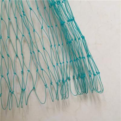 China PE Monofilament Plastic Fishing Net / HDPE Net / Fishing Spray Monfofilament Fish Net Netting for sale