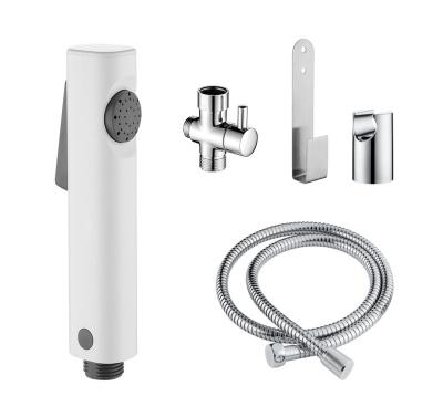 China Without Referral ABS Portable Toilet Shower Bidet Sprayer Toilet Shattaf Bidet Set for sale