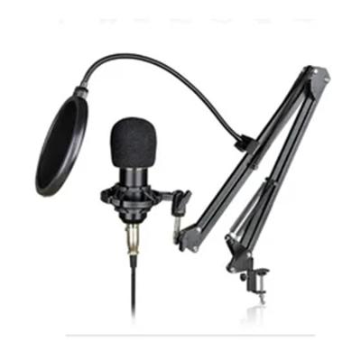 China Professional Studio Live Streaming Broadcasting Clear Sound Household Microphone 2023 for sale