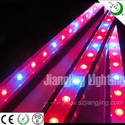 China 900mm Aluminum Waterproof 18*3W Strip Plant LED Grow Lights for sale