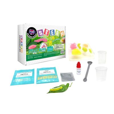 China Eductional Toys Cute Insect - STEM Science Experiment Kit - Insect Making Toy For Kids for sale