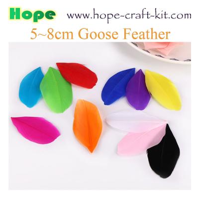 China Various size of goose feathers, turkey feathers, chicken feathers, peacock , ostrich feathers for hobbies and kids DIY for sale