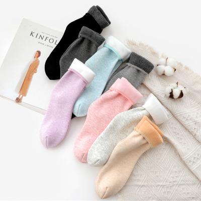 China QUICK DRY adult warm socks autumn and winter tube snow and velvet thickening floor socks for sale