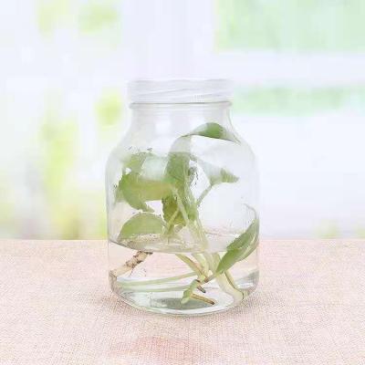 China Agriculture Plant Tissue Culture Glass Bottle With Breathable Plastic Cover 650ml for sale