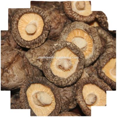 China 2021 Shiitake Mushroom 1Kg Organic Dry High Quality Wholesale Hot Dried for sale