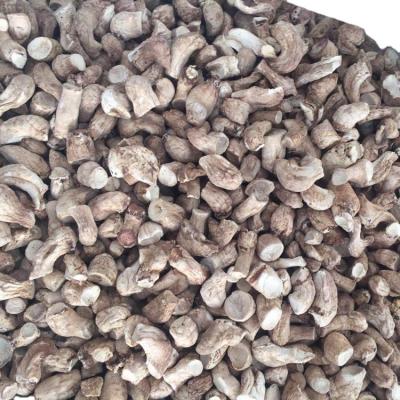 China Healthy Organic Dried Shiitake Mushroom for sale