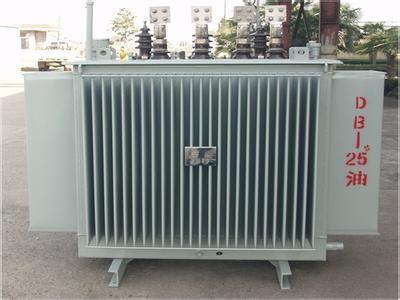 China 10KV High Voltage Three Phase Oil Immersed Power Transformer For Factory for sale