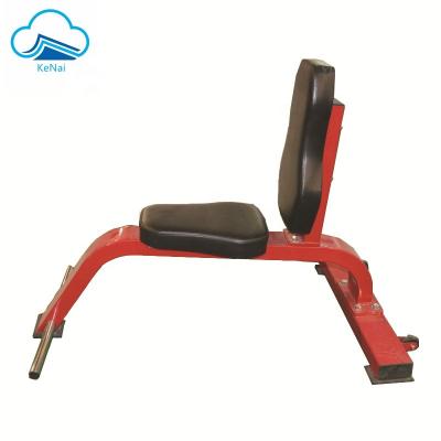 China Pure Fitness Center Strength Gym Equipment PS-B30 Multi Purpose Bench For Gym Equipment for sale