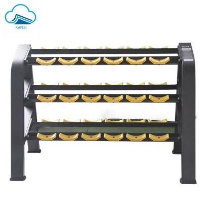 China Fitness Center Dumbbell Rack Gym Equipment Beauty Dumbbell Rack For Gym Training Sports Equipment for sale