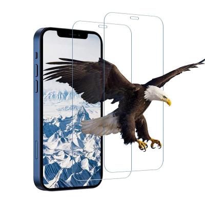 China Hot Selling Mobile Phone Full/Half Screen Protector Privacy Glass Screen Protector For Iphone 11 Iphone 12 13 Series for sale