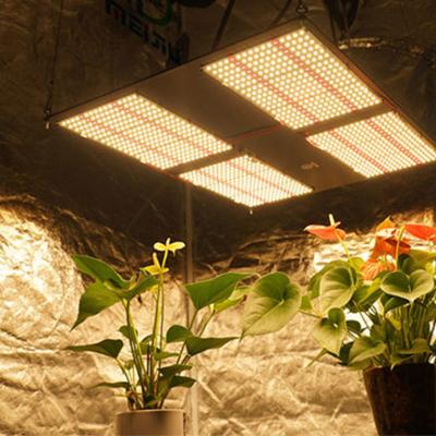 China Save Energy Greenhouse Grow Lights 200W 600W PPE 2.7 Cactus Plant Grow Lights LED for sale