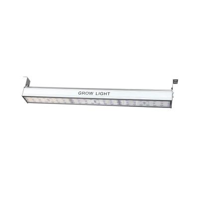 China Seed Starting Private Mold Can Be Customized Length 5 Years Warranty 200W IP65 1.5*0.8m Factory Grow LED Lights for sale