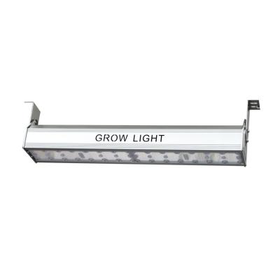 China Seed Starting 150W Led To Grow Indoor Plant Custom Light Bar PPFD360 660NM Length To Grow Light for sale