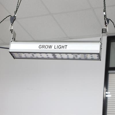 China Seed Starting 100W Indoor Grow Light Bar PPFD250 lm301b lm301h Plant To Grow Light LED for sale