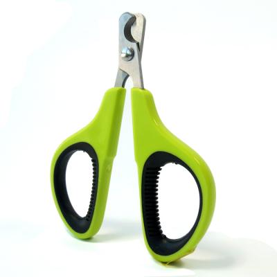 China Viable Portable Beauty Scissors Small Pet Cat Nail Pointed Cute Of Pet Necessary Tools for sale