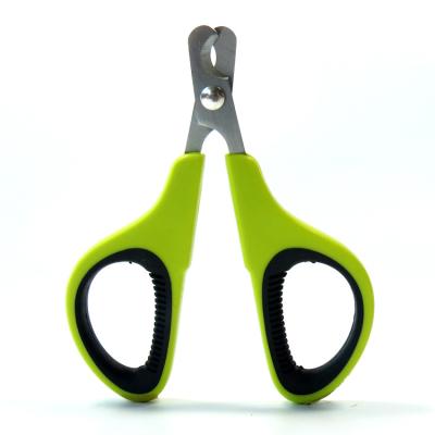 China Viable Portable Cat Nail Beauty Pet Scissors Pointed Handle Feels Comfortable Pet Good Companion for sale