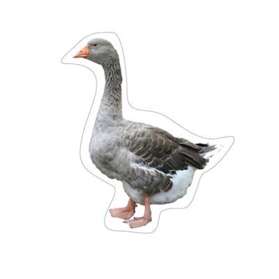 China Outdoor PP Material Lightweight PE PVC Frame Wind Duck Goose Decoys For Duck Hunting Recyclable for sale