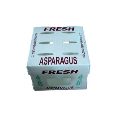 China pp asparagus/recyclable plastic grapes/corrugated plastic ginger packing box for sale