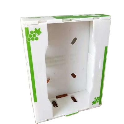 China Recyclable Shock Proof PP Cells Non Toxic Plastic Hollow Fruit And Vegetables Packaging Boxes for sale