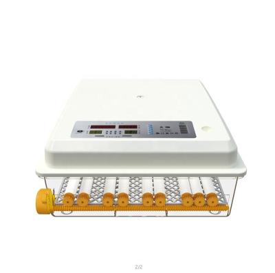 China Customized 36 plastic mesin tetas telur egg hatcher hatchers machine small automatic incubator eggs for sale