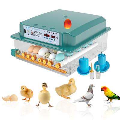 China 36 Multifunctional Full Automatic Chicken Egg Incubator Parrot Quail Egg Hatcher Machine Incubadora Egg Incubators for sale