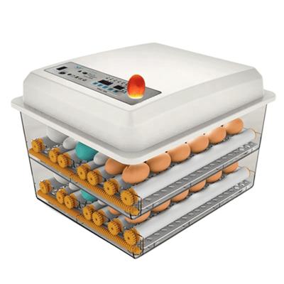 China 120 Multifunctional Fully Automatic Chicken Egg Incubator Quail Guinea Goose Bird Egg Hatcher Household Incubators For Sale for sale