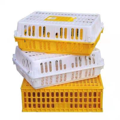 China Large Size Agriculture Chicken / Plastic Broiler Transportation Turnover Box for sale