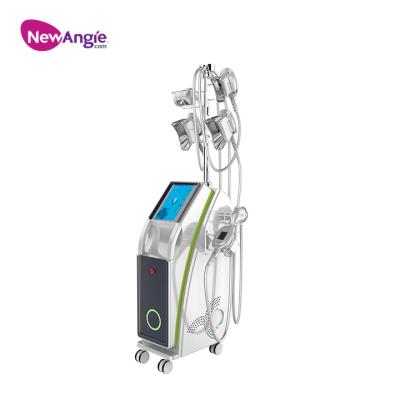 China Weight loss criolipolisis machine gel fat with 5 working heads for sale