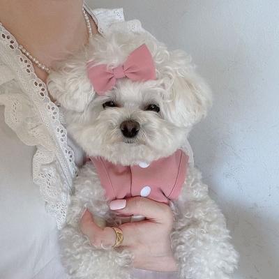 China Factory direct sale lace dresses spring summer viable maid luxury luxury pet clothes for sale