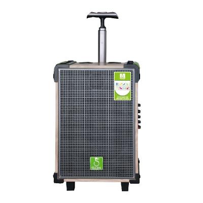 China No SOK New Model 8 Inch Portable BT Speaker Ne328 Trolley Speaker, Wooden Player for sale