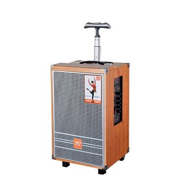 China No New 1003 Speaker, JBZ Model Portable 10 Inch BT Speaker Trolley Player Wooden for sale