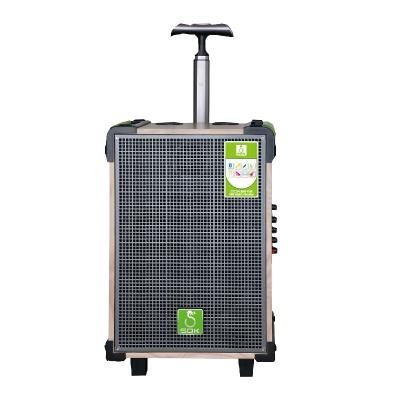 China No SOK New Model 10 Inch Portable BT Speaker Ne338 Trolley Speaker, Wooden Player for sale