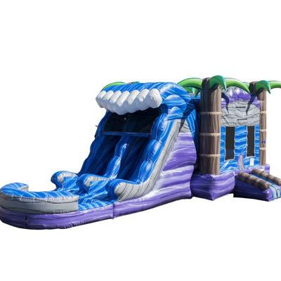 China PVC Factory Sale Orchid Inflatable Wave Wet Combo with Slides, Jumping Castles and Wet Bouncy Castles with Ponds Hire on Sale for sale