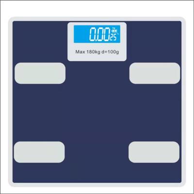 China Weight Function Health Scale Body Scales Human Scale for sale