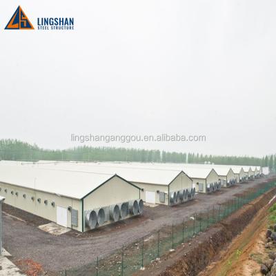 China Poultry house construction building poultry farm layout and design for sale