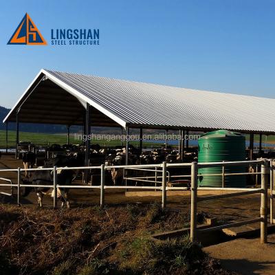 China Steel Frame Dairy Barn Farm Building Plan Cost Metal Cattle Shed Building for sale