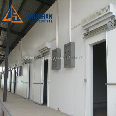 China Warehouse Low Price Steel Structure Cold Room Freezer For Fruit / Fish / Vegetable Storage for sale