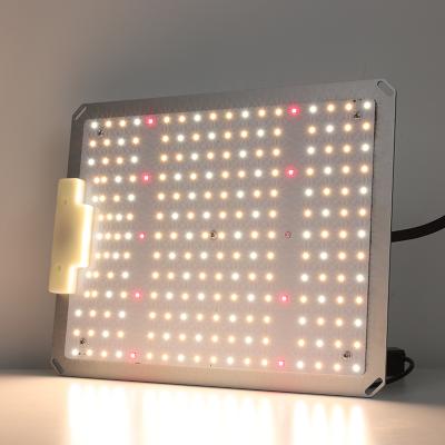 China Seed Starting Professional 100W Full Spectrum Chinese Current Dimmable LED Grow Light for sale