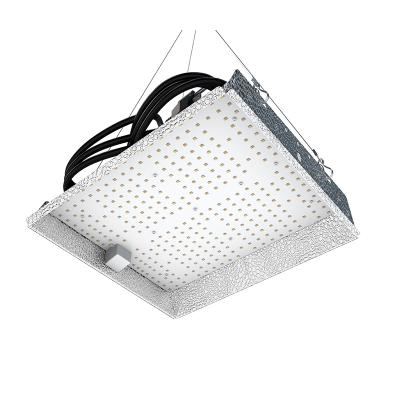 China Seed Growing Plant 100W Indoor Led Grow Lights Kit Luz Led Para Cultivo Grow Lights Strips for sale