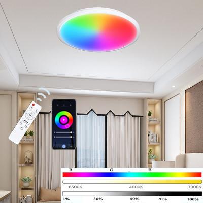 China Modern Smart 24W Three Color Bedroom Living Room RGB Outdoor Mounted Ultra Thin Ceiling Light With Remote Control Led Ceiling Lamp for sale