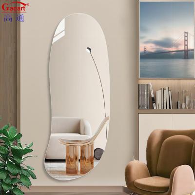 China Full Length Silver Bathroom Furniture Metal Hotel Home Hallway Glass Beveled Decor Mirror for sale