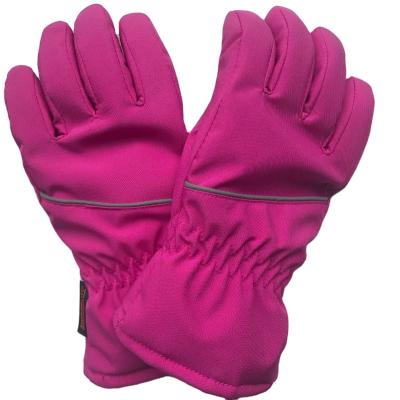 China Hot-selling Sports Unisex Comfortable Soft Shell Winter Warm Coating Gloves for sale