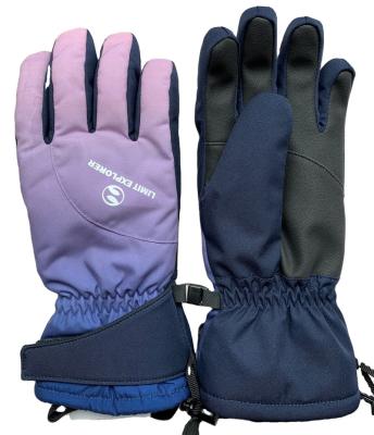 China Fashionable Waterpoof Cold Weather Keep Warm Skiing/Snowboarding Water Repellent Ski Gloves for sale